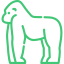 Gorilla Trekking Image